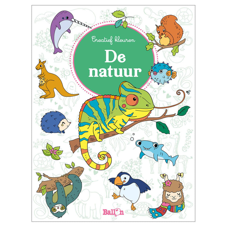 Colori creativi standard della casa editrice: la natura
