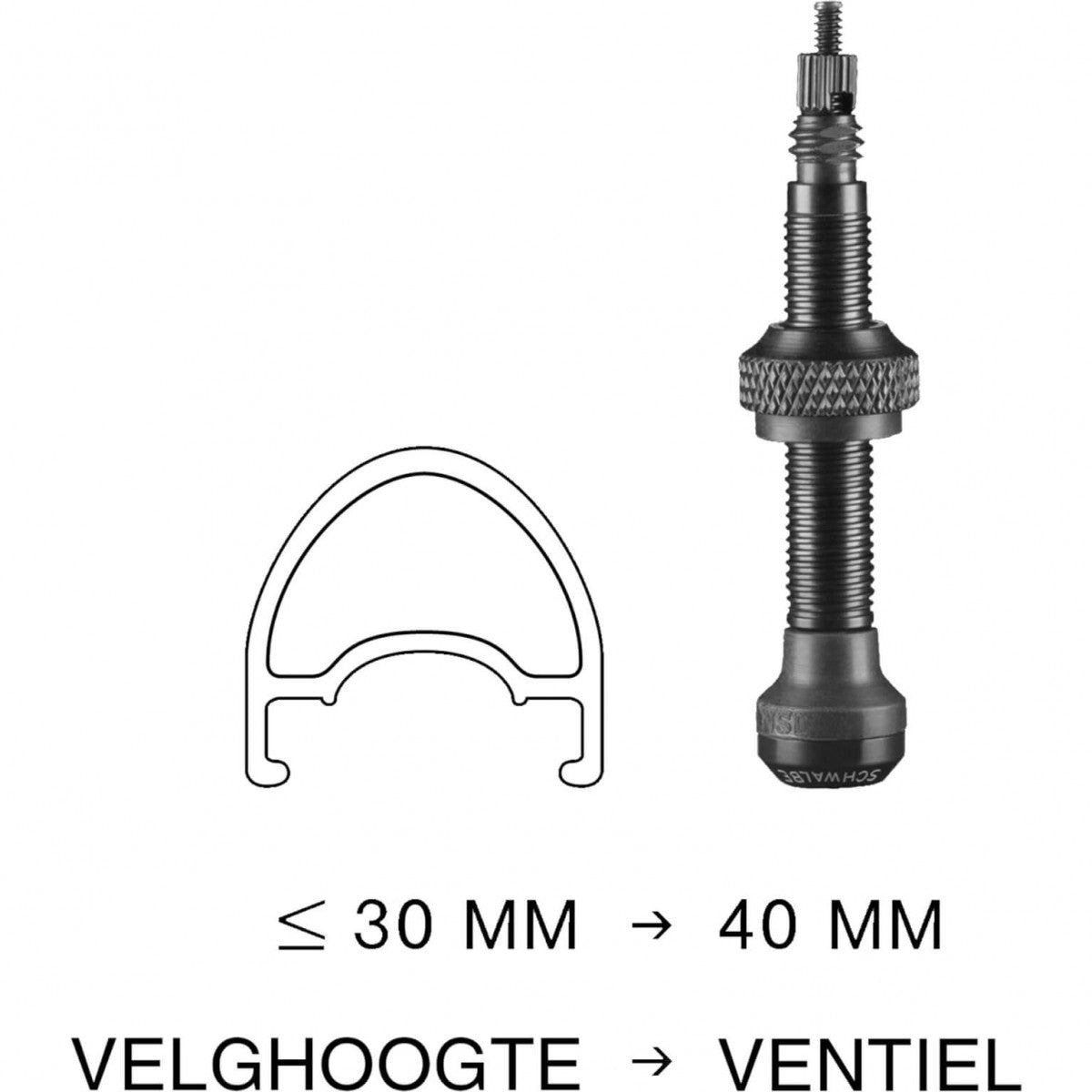 Valve tubeless Schwalbe 40mm (2 pezzi)