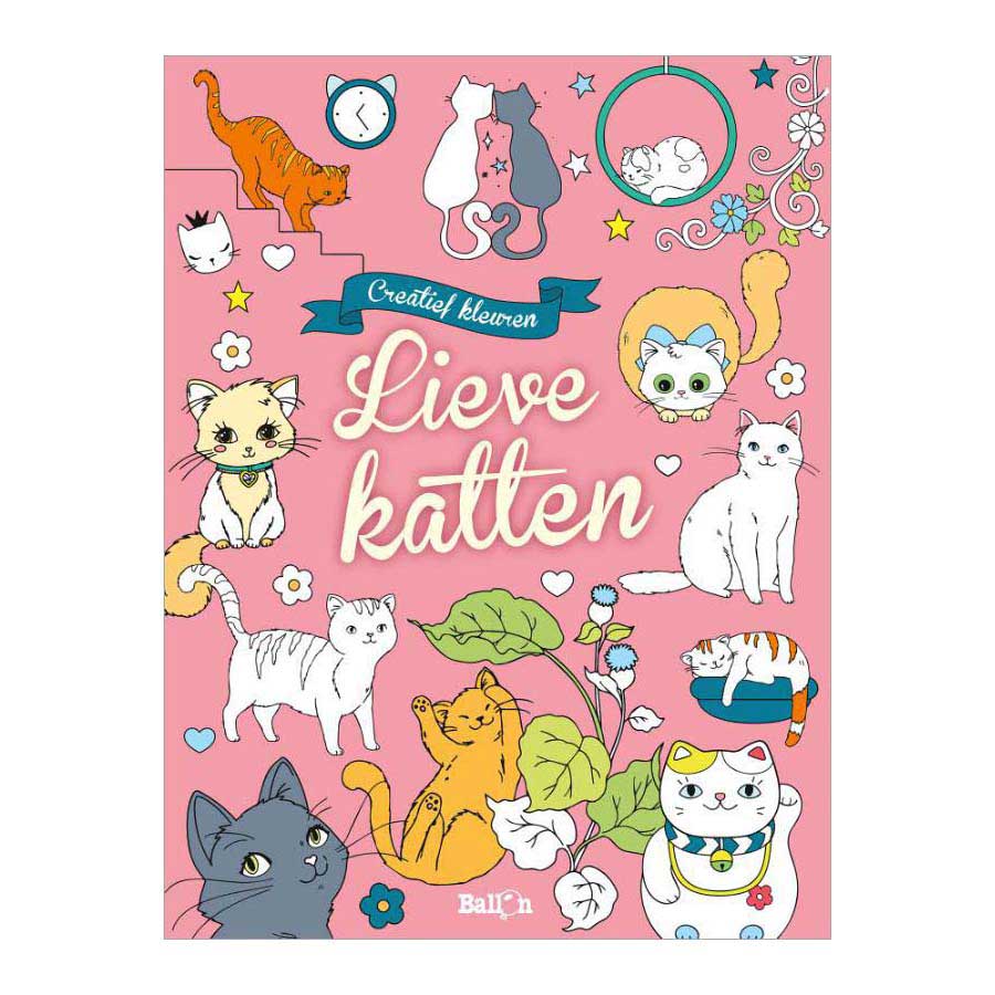 Standard publishing house coloring book sweet cats