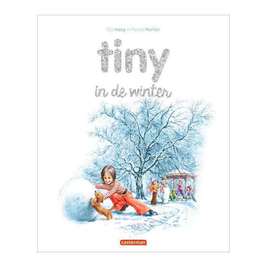 Casa editrice standard minuscola d'inverno