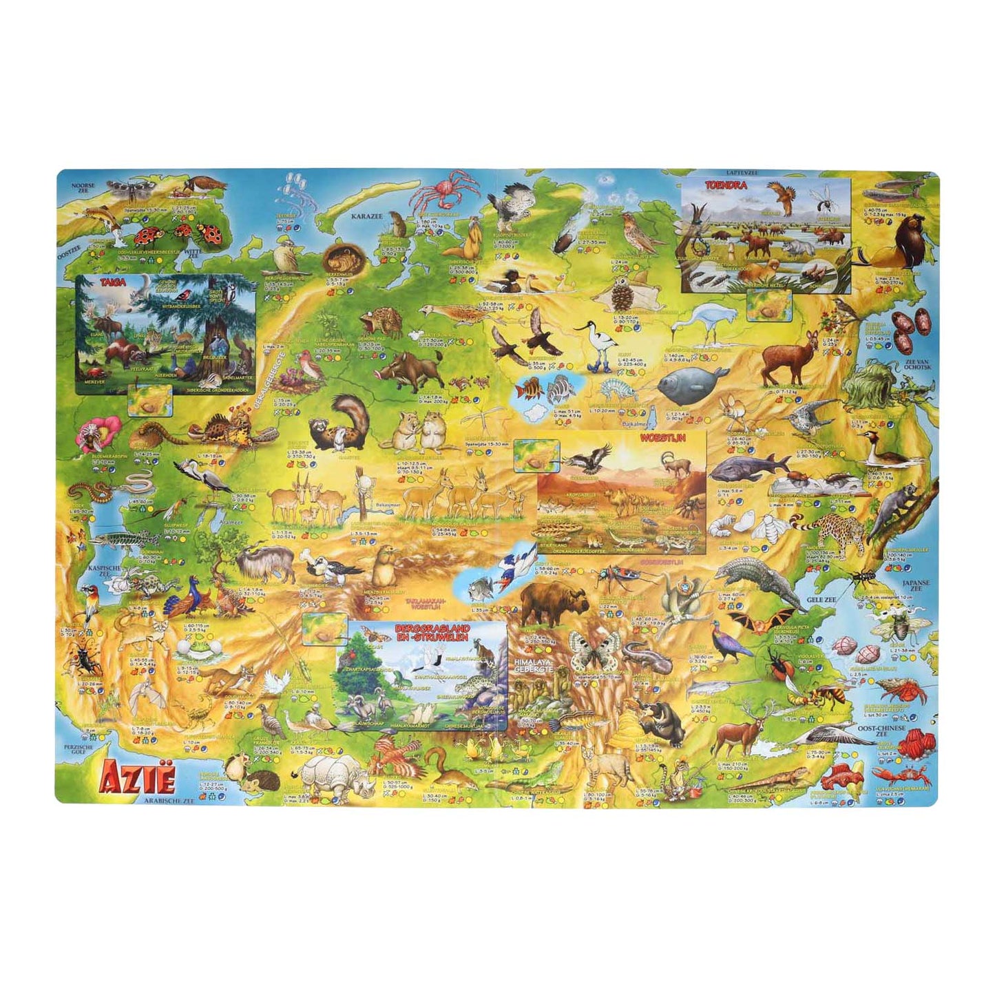 Carte orali mega atlante per bambini degli animali