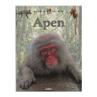 Lantern publishers wildlife - monkeys