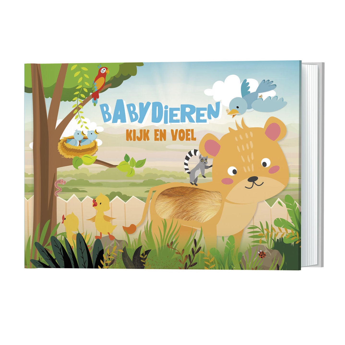Gli editori di lanterna look and freent - baby animali