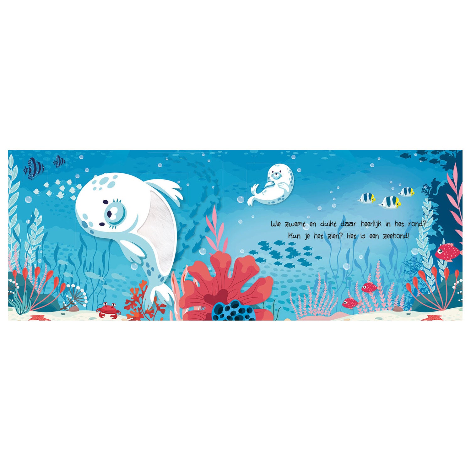 Gli editori di Lantern look and Feel - Animali sott'acqua