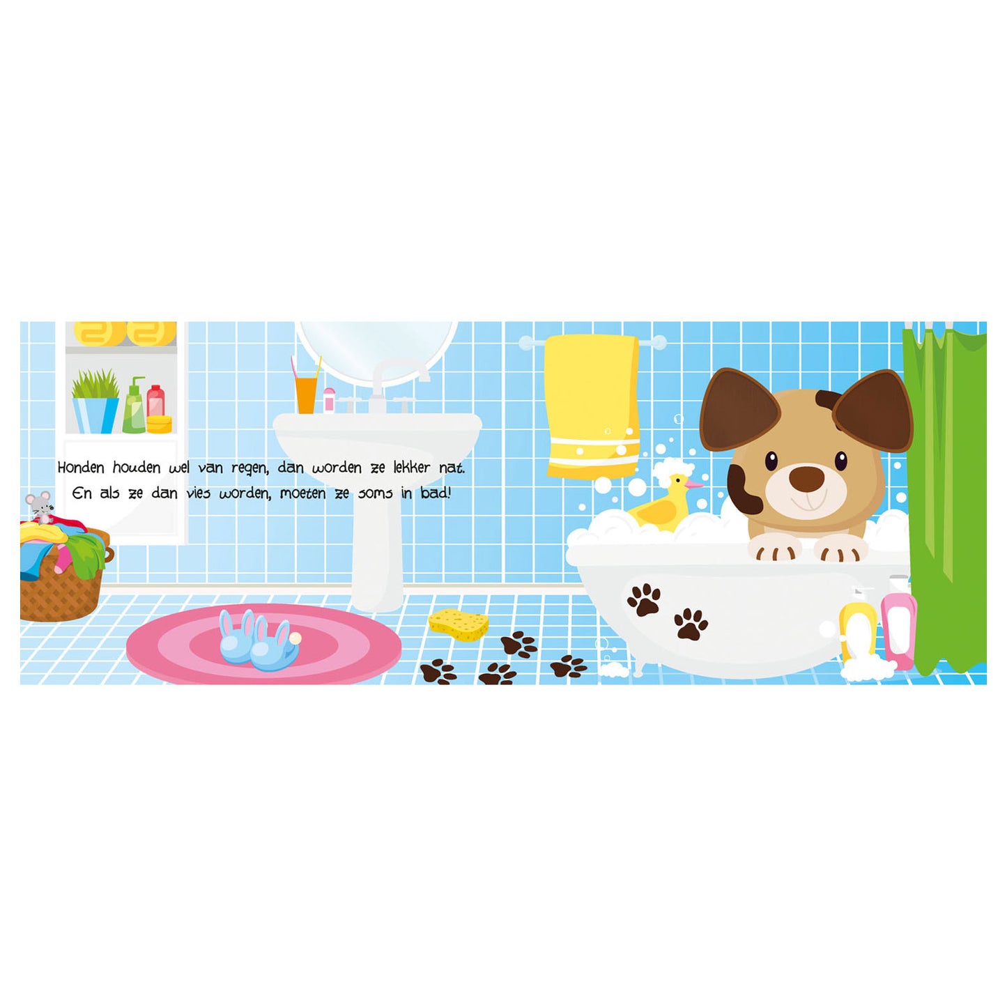 Lantern Publishers Look and Feel - Pets