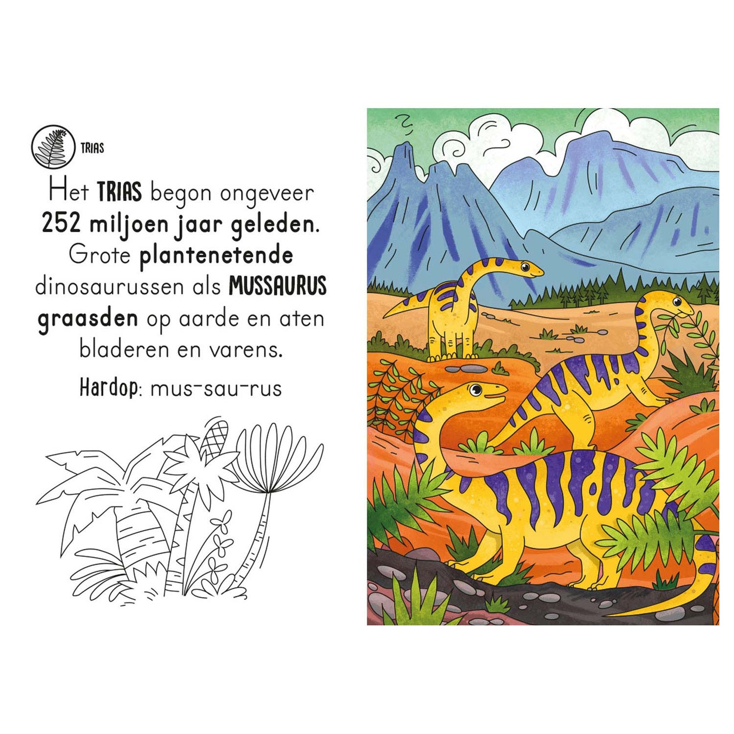 Libro de color de agua mágica - Dinos