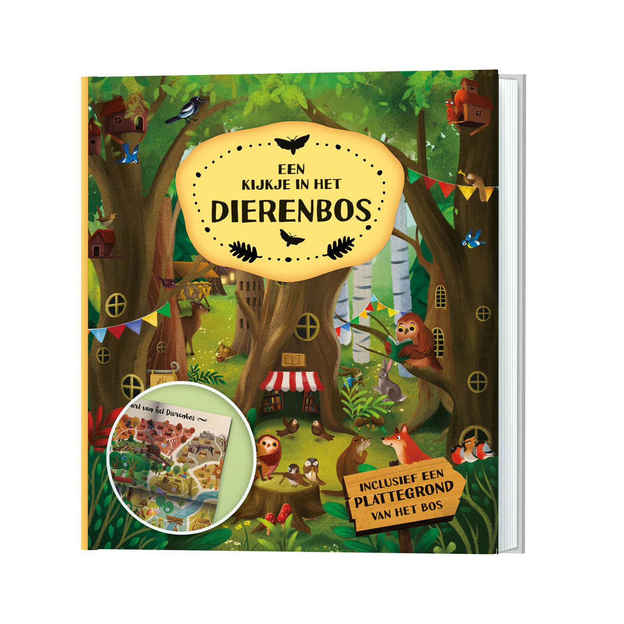 Uno sguardo ai Dierenbos