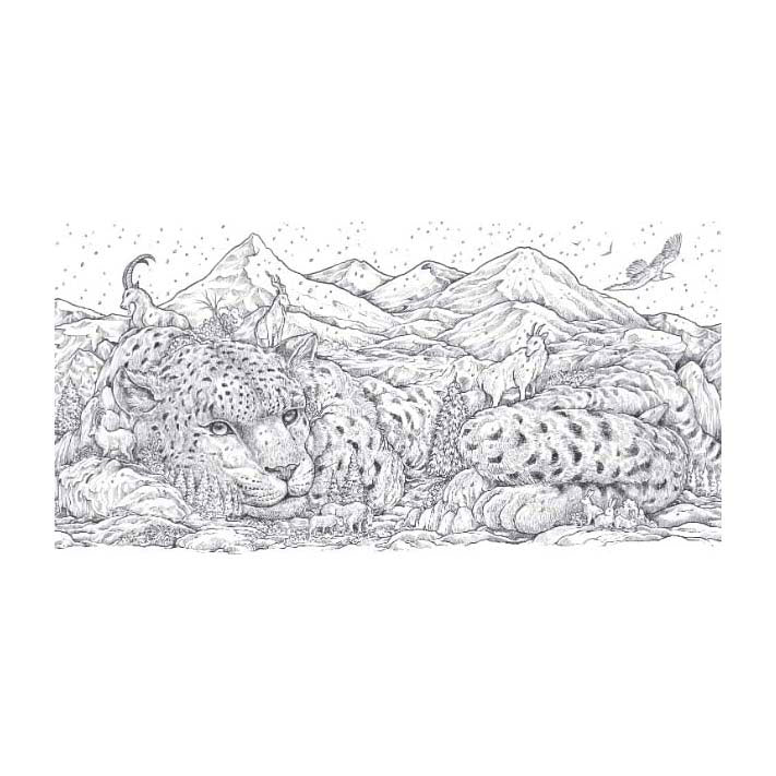 Libro para colorear del mundo animal de Lantern Publishers.