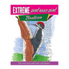 Lantaarn publishers extreme punt naar punt - bosdieren