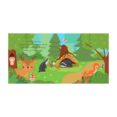 Editores de Lantern, ¿pueden encontrarme? Libro de lectura en el bosque y 20 tarjetas de notas.