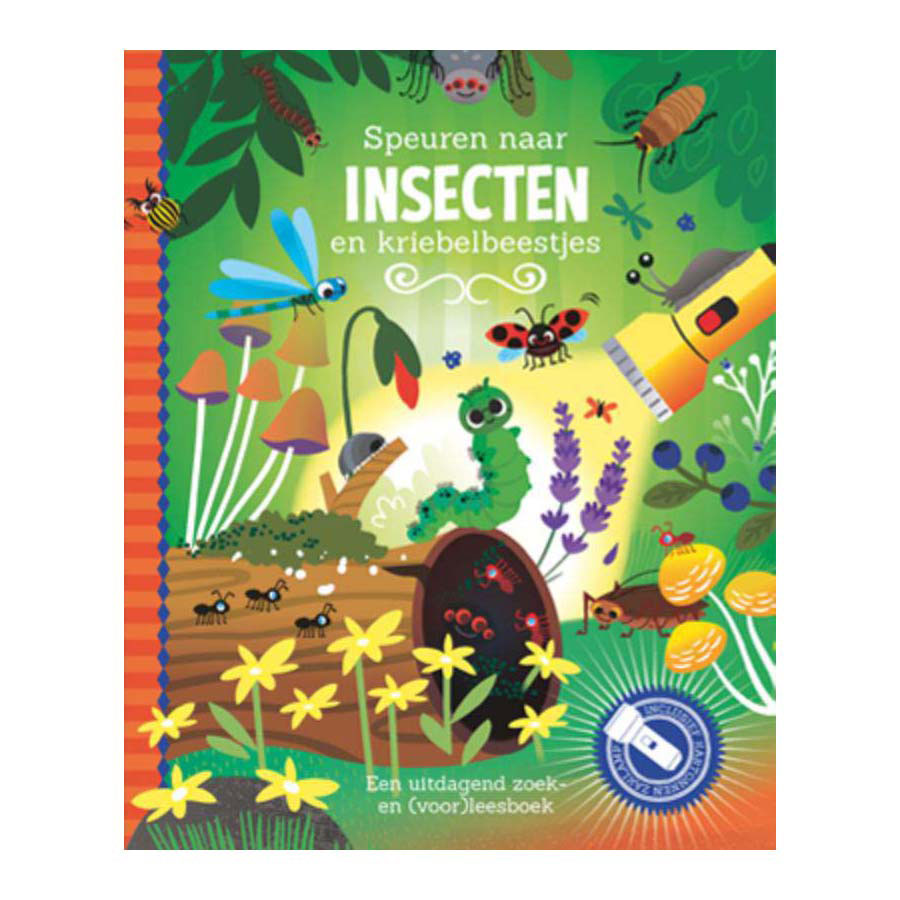Gli editori di lanterne cercano il libro di ricerca degli insetti con una torcia di cartone