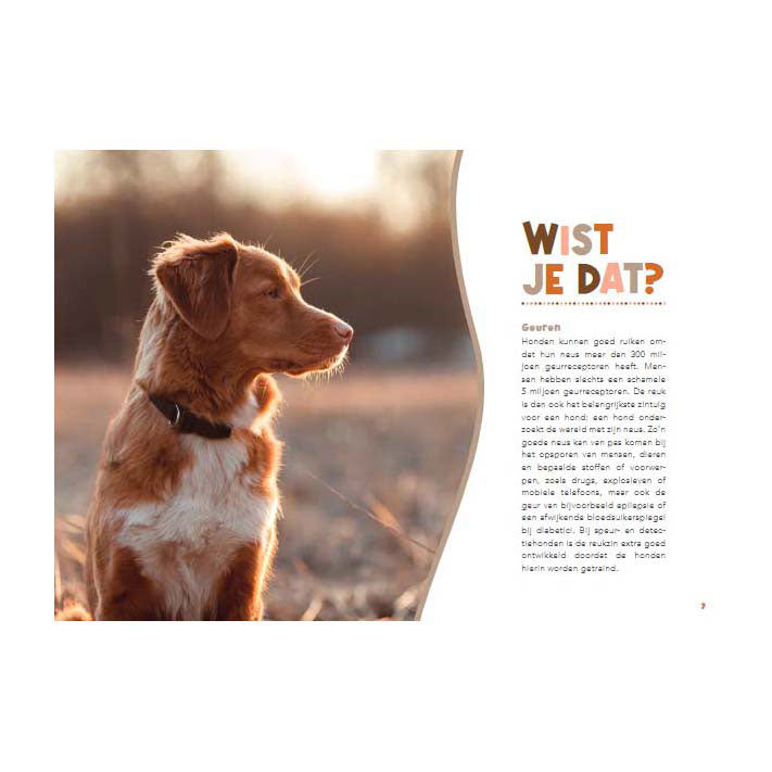 Manuale degli editori Lantern per i proprietari di cani