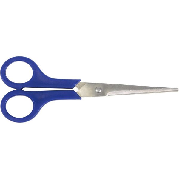 Schaar RVS Cyclus 20cm