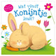 Los editores de rebo sienten un libro ¿Qué le gusta Konijntje?