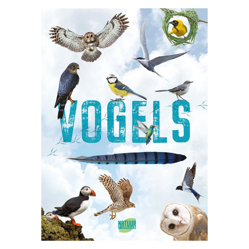 Rebo Editors Vogels Guide and Nature Diary for Children
