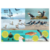 Rebo Editors Vogels Guide and Nature Diary for Children
