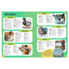 Rebo Editors Vogels Guide and Nature Diary for Children