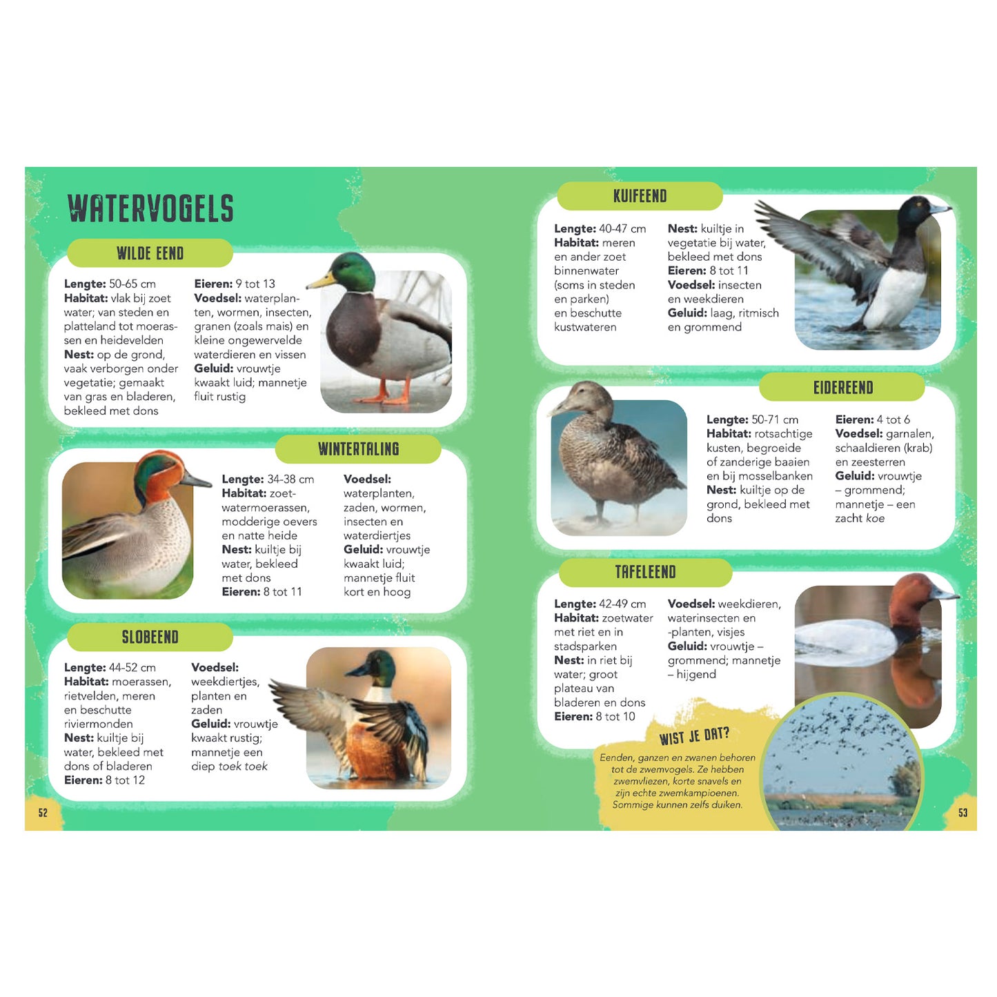 Rebo Editors Vogels Guide and Nature Diary for Children