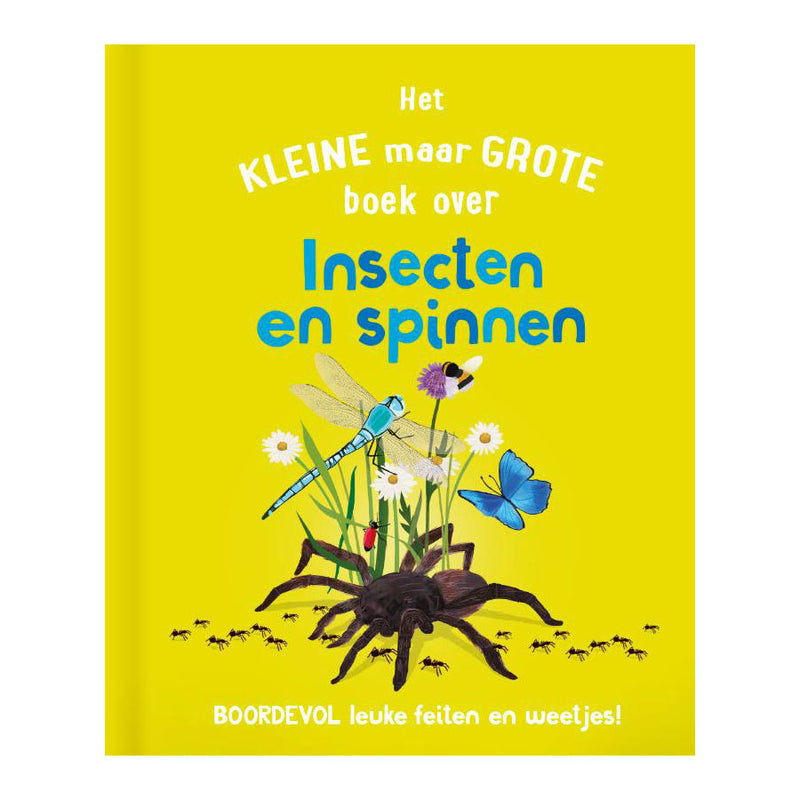 Rebo editori il piccolo ma grande libro su? Spinning di insetti