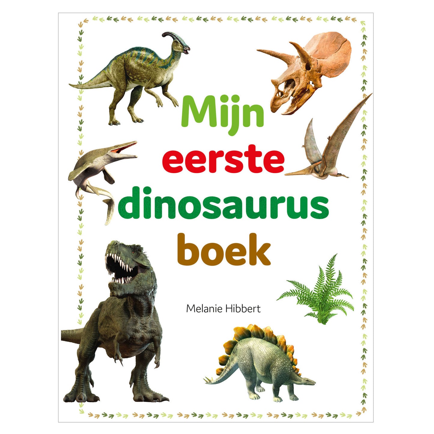 Rebo Publishers My First Dinosaur Book