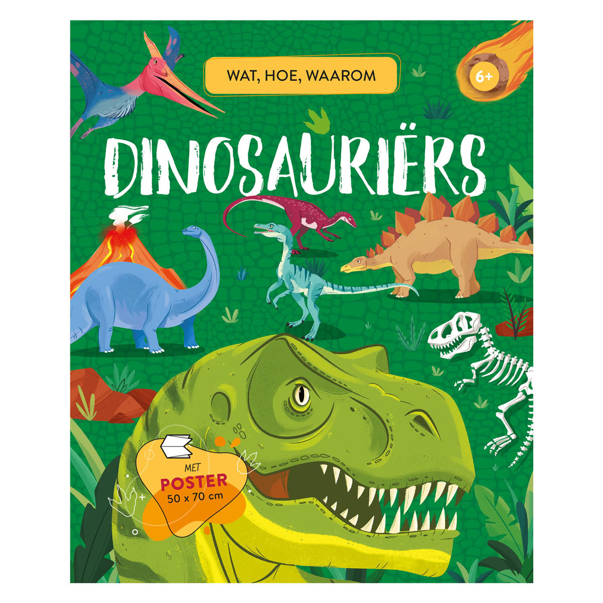 Rebo Publishers Dinosaurs qué, cómo, por qué