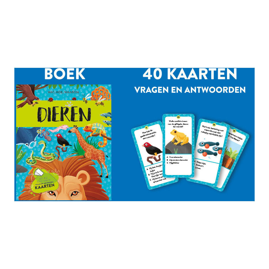 Rebo editori Dieren Facts Play Set