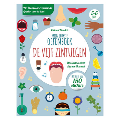 Rebo Publishers Five Senses Leukste Ejercicio Libro