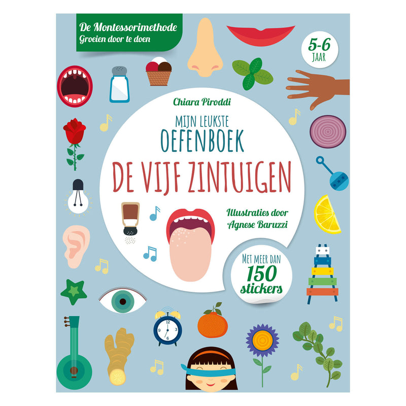 Rebo Publishers Five Senses Leukste Ejercicio Libro