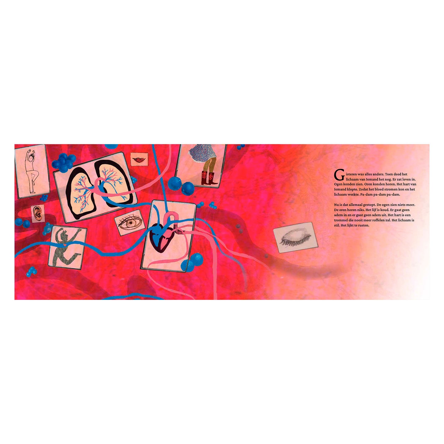 Grupo editorial Gottmer, libro ilustrado sobre el fin de alguien.