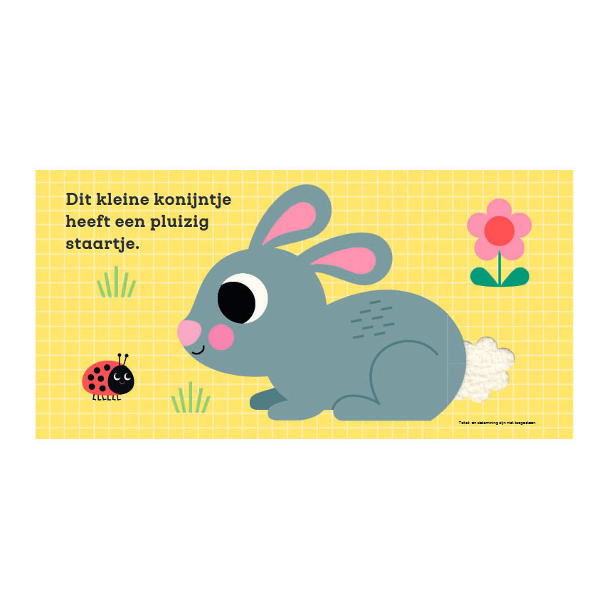Gottmer uitgevers groep voelboek: dit kleine konijntje 1+