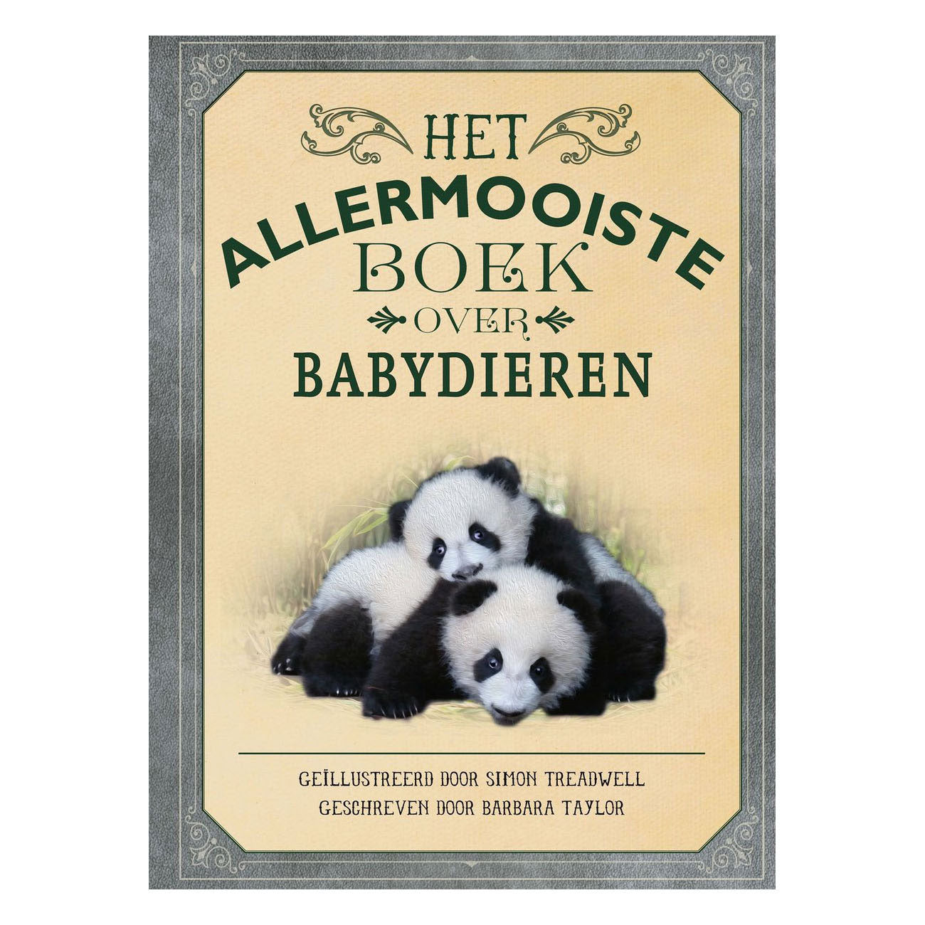 Gruppo editoriale Gottmer il libro più bello sui cuccioli di animali