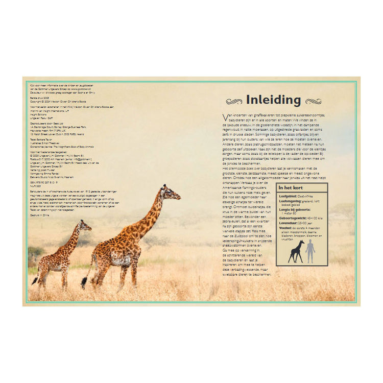 Gottmer publishing group the most beautiful book about baby animals