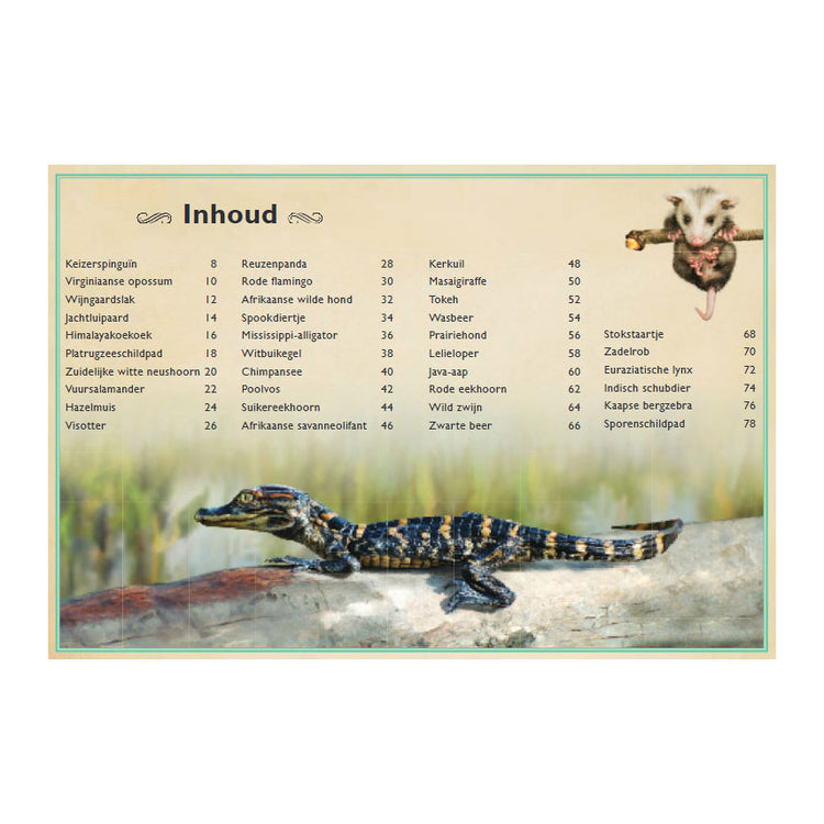 Gottmer publishing group the most beautiful book about baby animals