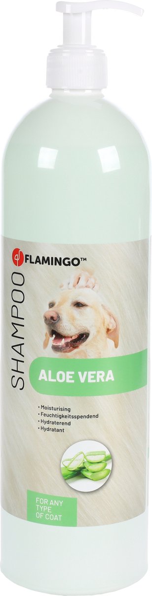flamenco