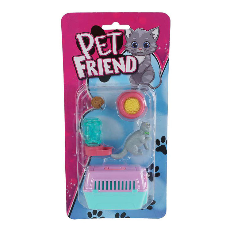 gatto nel cestino da viaggio con accessori