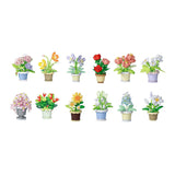 Bouwstenen planten in pot assorti in display - afbeelding 3