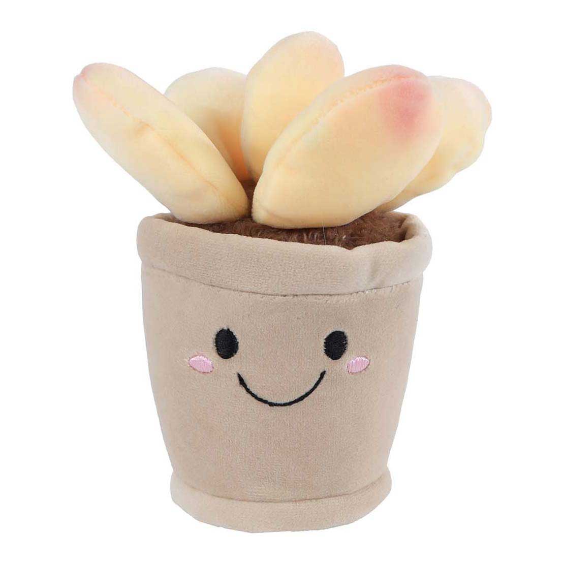 Peluche planta Llévame a casa - 13cm