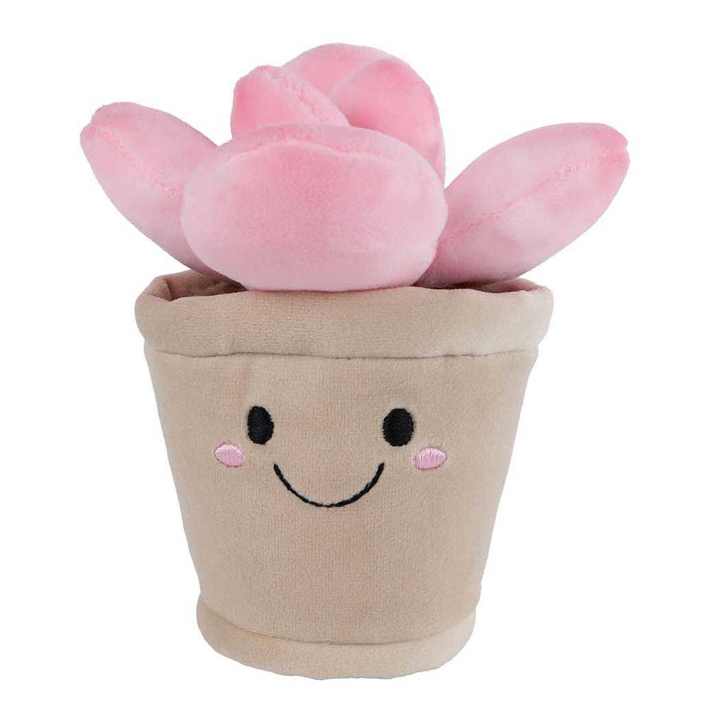 Peluche planta Llévame a casa - 13cm