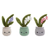 Planta "Llévame a casa" campanilla de invierno de peluche l - 24cm