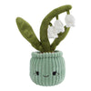 Planta "Llévame a casa" campanilla de invierno de peluche l - 24cm