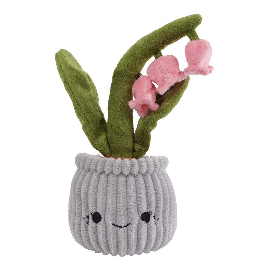 Planta "Llévame a casa" campanilla de invierno de peluche l - 24cm