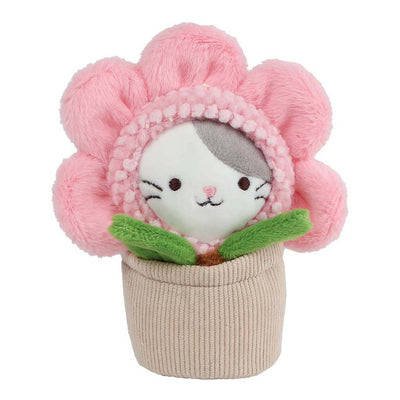 Take me home poes in pot pluche - 16cm