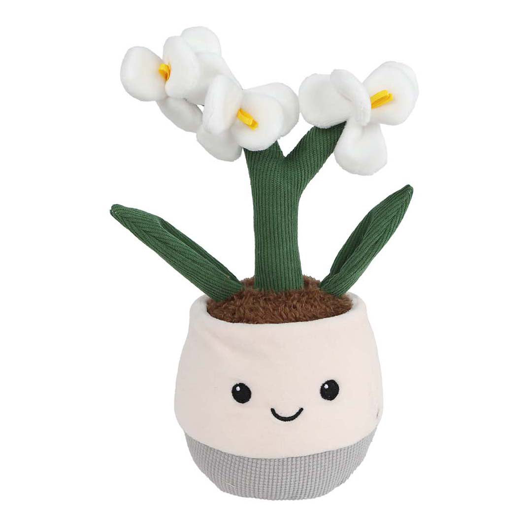 Planta Take Me Home felpa orquídea l - 23cm