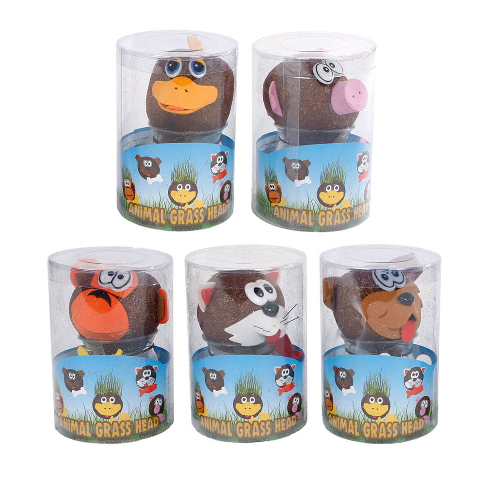 Prenditi cura degli animali di erba