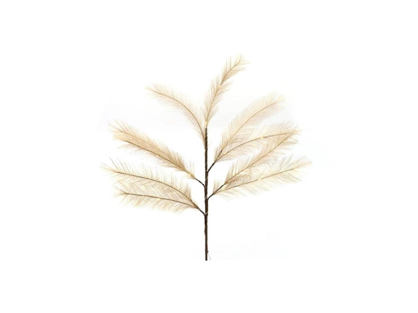 HBx ramo di erba piuma vivente naturale con LED caffè da 72 cm