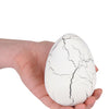Funtoy groei-ei - dino xl