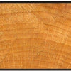 Taglierina a quarto di tondo Wolfcraft | r=10 | ø35mm| 1 pezzo - 3266000