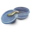 SES SES Insects Explorer