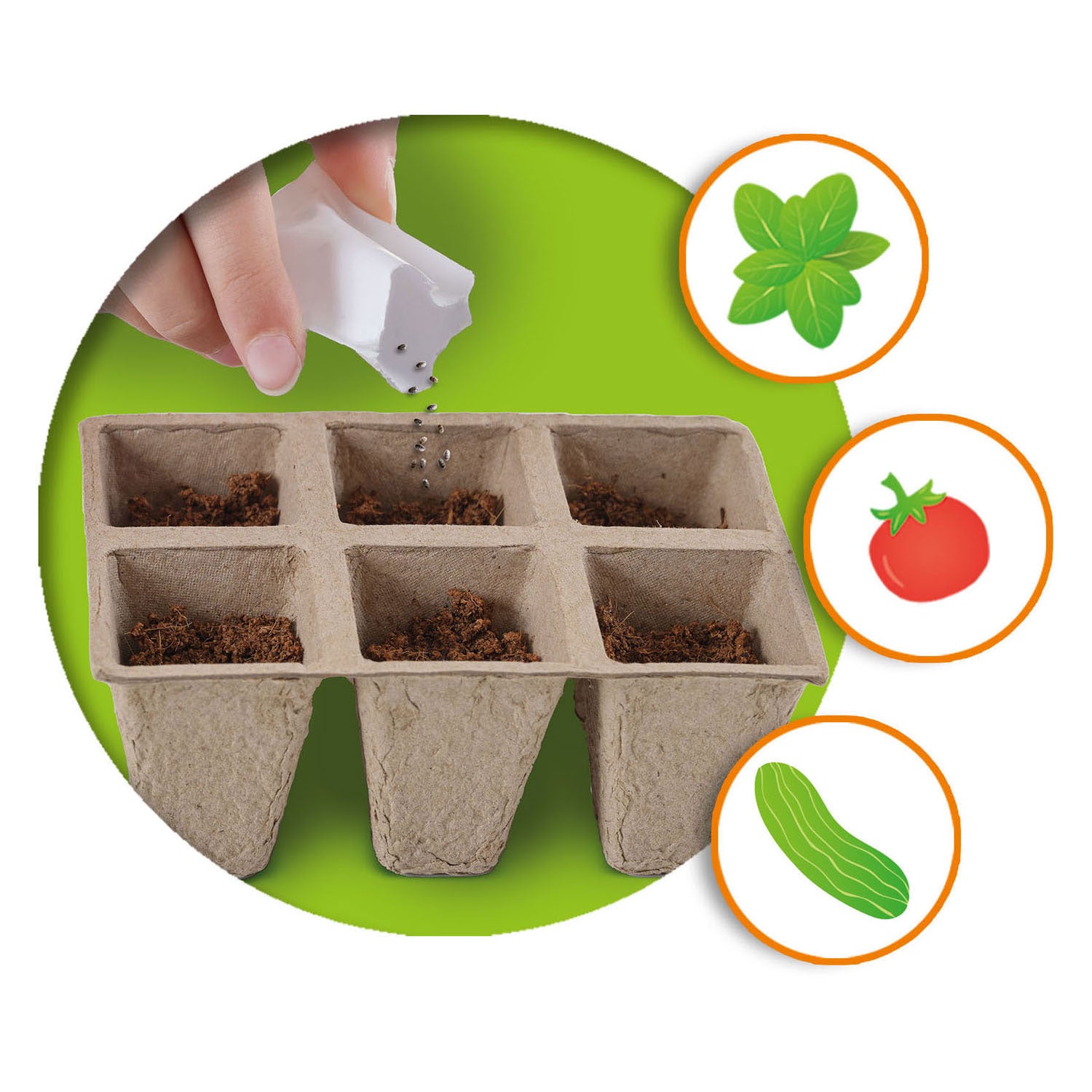 SES SES Esplora serra in legno con verdure