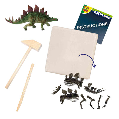 SES esplora e scheletro scavato 2in1stegosaurus